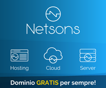 Hosting Netsons